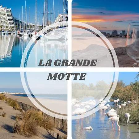 Ti Tahiti Studio-3min Plage-terrasse Cosy-wifi-parking - Pros Servicesconciergerie Motte